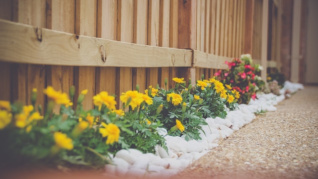 Gartenzäune bieten Ihrem Garten Privatsphäre und Windschutz, eignen sich aber auch hervorragend für die vertikale Bepflanzung